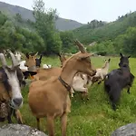 Abrigo Do Cabecinho - Serra Da Estrela