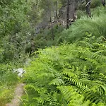 Abrigo Do Cabecinho - Serra Da Estrela * Cortes do Meio