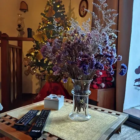 Abrigo Do Cabecinho - Serra Da Estrela Dom wakacyjny Cortes do Meio