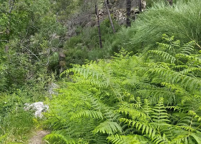Abrigo Do Cabecinho - Serra Da Estrela * Cortes do Meio