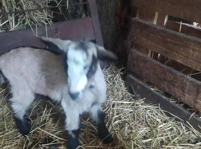 Casa vacanze Abrigo Do Cabecinho - Serra Da Estrela *